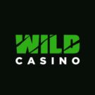 Wild Casino