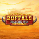 Buffalo Hold and Win Extreme