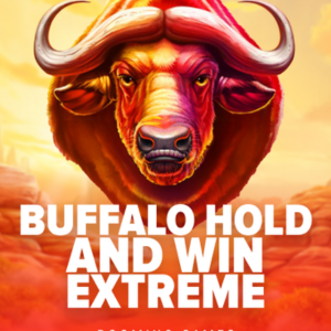 Buffalo Hold and Win