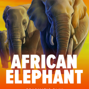 African Elephant