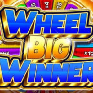 Wheel Big Winner Millionaire’s Life