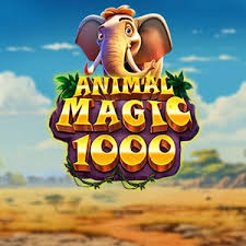 Animal Magic 1000