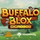 Buffalo Blox Gigablox