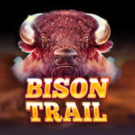 Bison Trail