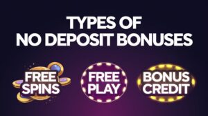 Types of No Deposit Bonuses Free Spins: Free Play Bonus credit 