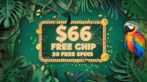 No Deposit Bonus Codes