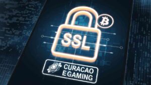 Punt Casino Legit and Safe