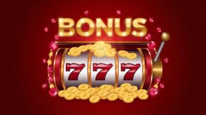 Bonuses & Offers