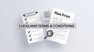 Terms & Conditions