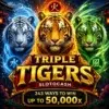 Triple Tigers Slot Review: Features, Free Spins and Big Wins